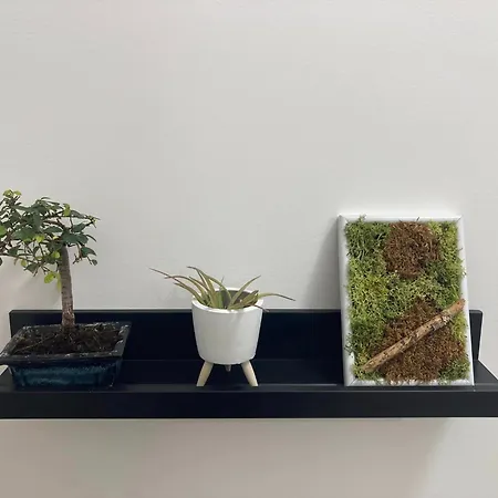 Apartamento Via Gaeta